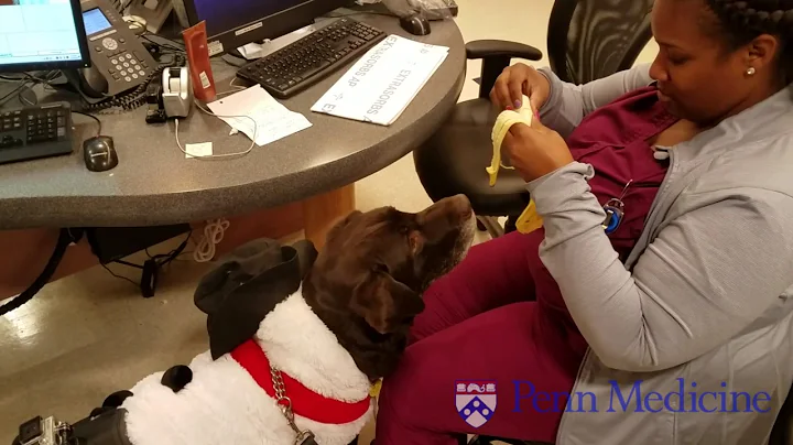 Tugger Makes the Rounds at the Hospital of the University of Pennsylvania