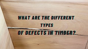 What Are the Different Types of Defects in Timber?