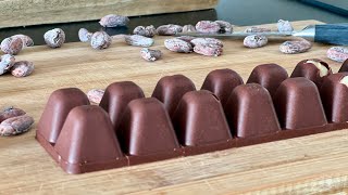 How to Make CHOCOLATE from Cocoa Beans - Let's make Chocolate 🍫