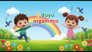 5 duyu organımız