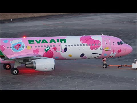 EVA AIR A321-200 エバー航空 ハローキティ Kitty ph EVA AIR A321-200 エバー航空 ハローキティ Kitty ph EVA AIR