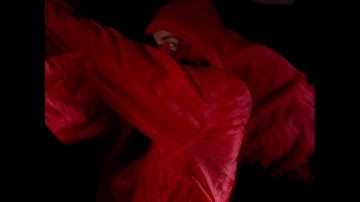 Julia Holter - I Shall Love 2 (Official Video)