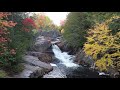 Hermoso Sonido de Agua y Pajaros🐦💦 Sonidos Relajantes🎵💤 Lleva la Naturaleza adondequiera que vayas🌻