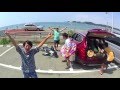 [MV] natsu no mushi / fula