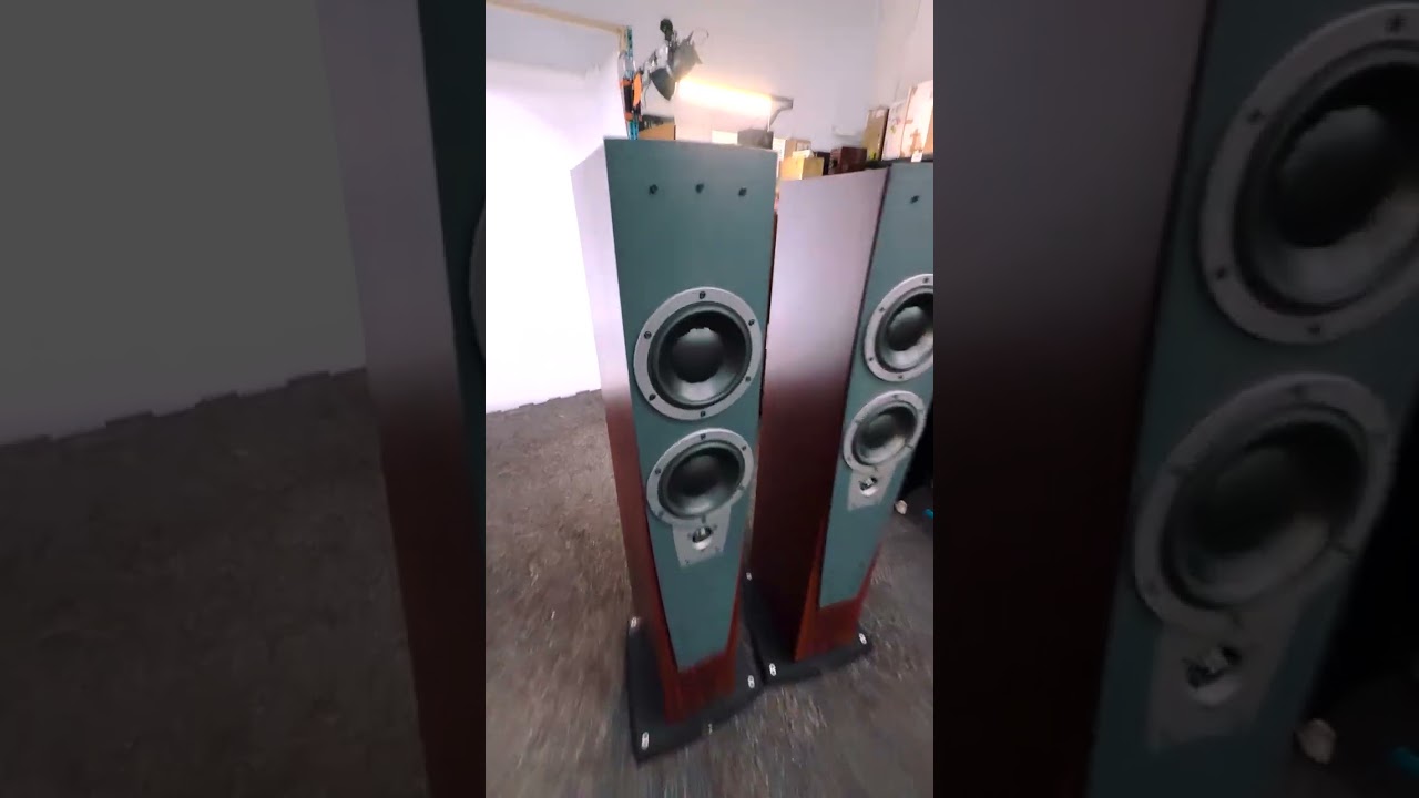 Fresh Arrivals - Dynaudio Contour S3.4 Speakers - YouTube