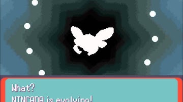 Shiny Pokemon Evolution ( Nincada, Ninjask and Shedinja)