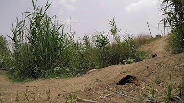 Vaterra twin hammers run