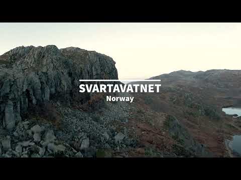 DJI FPV @