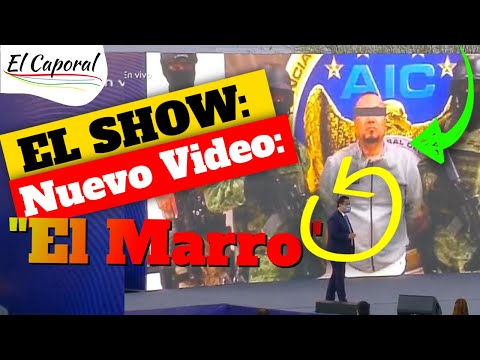 ? La menzogna dietro il nuovo video di "El Marro" ? Il governatore di Guanajuato rivela la cat