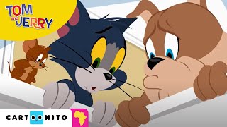 Tom and Jerry: Let's Dig!!! | Cartoonito Africa