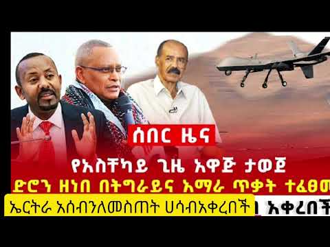 የአስቸኳይ ግዜ አዋጅ ታወጀ ድሮን ዘነበ ትግራይ አማራ 