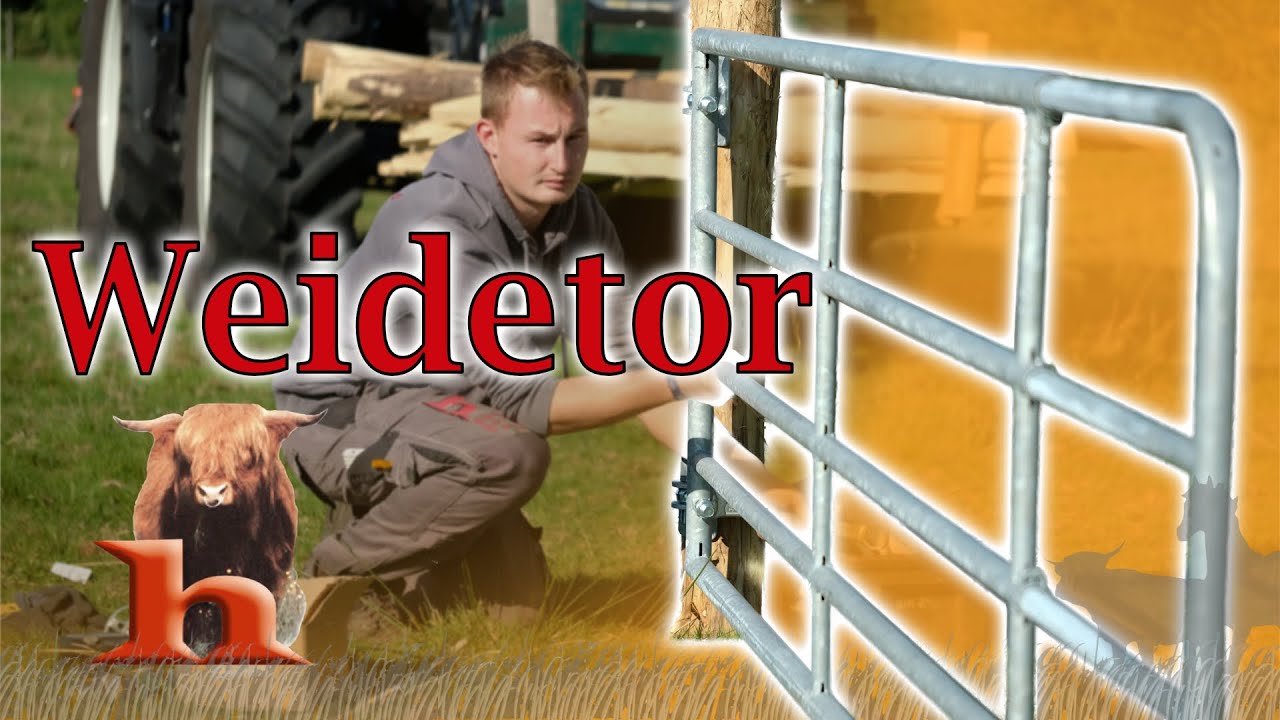 Montage Weidetor - Highland Stall & Weide