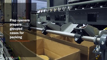 Robotic Case Packer - Frozen Trays of Food