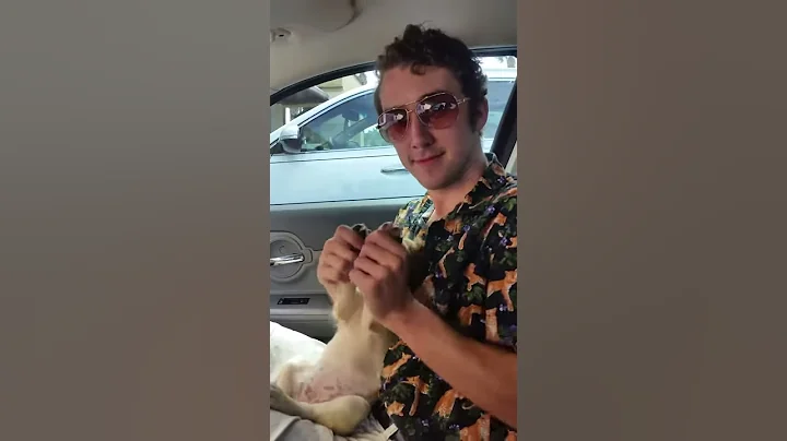 Man abuses dog with a good taste in music!