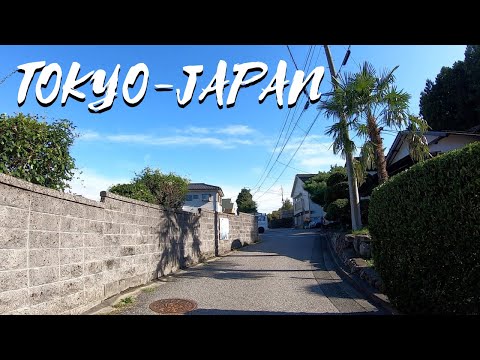 【JAPAN】Walking  in suburban Tokyo Japan    HD