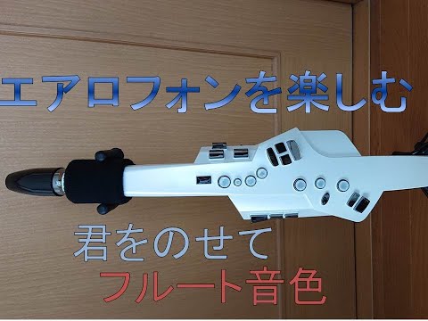 【エアロフォン】で、【君をのせて】吹いてみました。楽器初心者でも楽しめる‼
