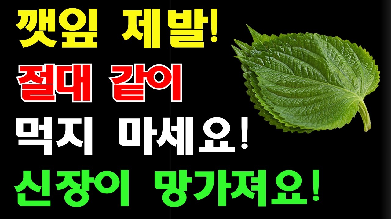 깻잎과 상극인 음식 TOP3! 절대 같이 먹지 마세요! 노년기 건강을 위해 먹는 깻잎, 이렇게 드셔야 막힌 혈관이 뻥 뚫리고 신장이 살아납니다 | 깻잎효능 | 건강정보