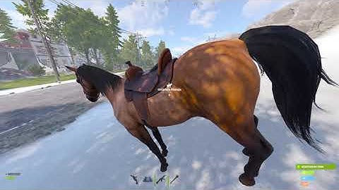 outpost bug  PART 2 (I can loot all body