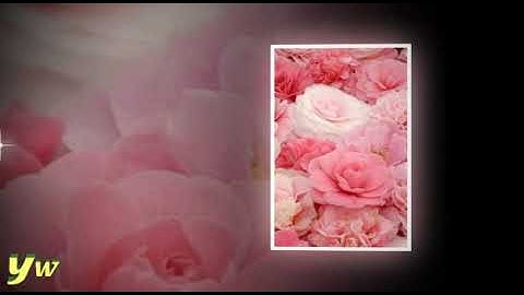 4  سورة  النساء  القارئ سعد الغامدي