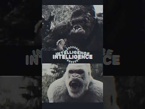 George Rampage Vs King Kong 2005 King Kong 