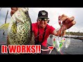 Fishing MICRO Umbrella Rigs for MONSTER Crappie!! (It Actually Worked)