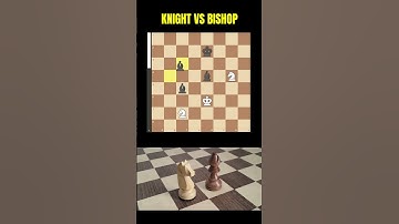 KNIGHT VS BISHOP in Chess!  #chess #knight #bishop