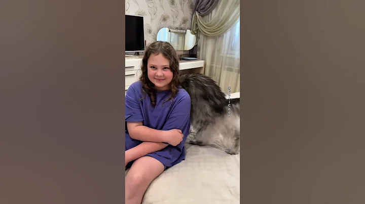 Video 9790601: mainecoon cats cute catlover, mainecoon catlover animals, mainecoon cat cute love