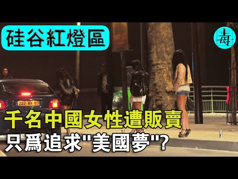 矽谷網路“風俗”產業鏈！千名中國女性遭販賣，如此高危險，為何還要堅持？因為太賺錢了吧！