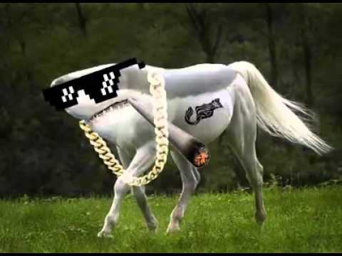 I'm Hailo ბაზარი არააა ტო :D