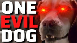 Underdog A Superhero Movie So Bad It Should Be Illegal