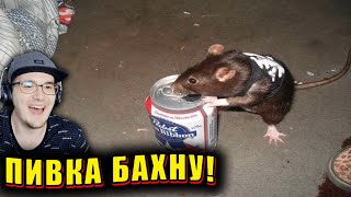 ЗАСМЕЯЛСЯ - ПРОИГРАЛ ► ЛУЧШИЕ ПРИКОЛЫ ( УЛЫБНУЛИСЬ ПРОИГРАЛИ СОЮЗ СМЕХА ) | Реакция