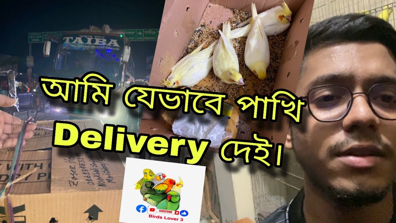 আমি যেভাবে পাখি Delivery করি | বাড়ির ছাদে ককাটেল পাখির খামার পদ্ধতি |বাড়ির ছাদে পাখির খামার পদ্ধতি