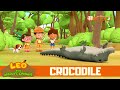 Why is the crocodile upside down  leo the wildlife ranger spinoff s3e11  mediacorpokto