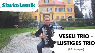 Slavko Lesnik Veseli Trio - Lustiges Trio M. Kregar
