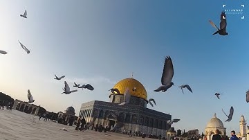 سورة الفاتحة وماتيسر من سورة القصص وَيَوۡمَ يُنَادِيهِمۡ فَيَقُولُ أَيۡنَ  بصوت الحاج احمد ابو زكريا