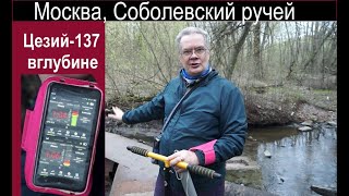 Соболевский ручей - реакторный цезий-137 в грунте на берегу