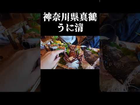 【真鶴グルメ旅】豪華すぎる船盛ランチ！海の幸たっぷり「うに清」で至福のひととき　[Manazuru] Stunning Seafood Boat Lunch at Unikiyo　#Shorts