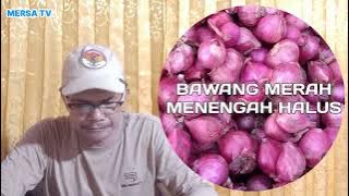 PRICE INFO FOR RED ONIONS AND VEGETABLES FROM THE ALAHAN PANJANG VEGETABLE MARKET, SOLOK REGION