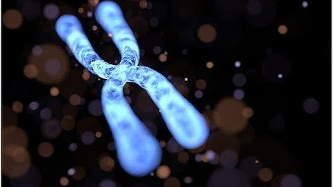 12th Botany || Chromosomal Basis of Inheritance || Part 2 || English Lecture