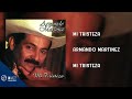 Mi tristeza   armando martnez audio cover