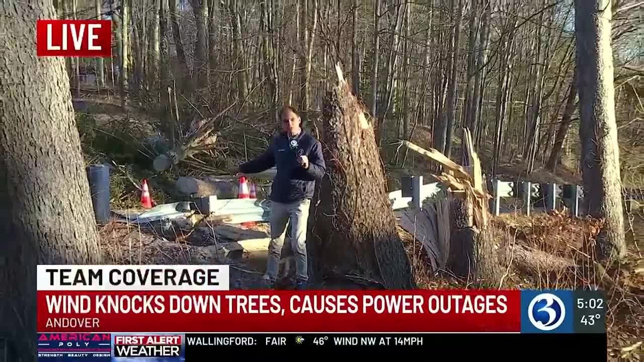 Crews clean up downed trees and power lines across the state - YouTube