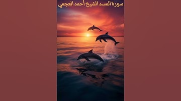 سورة المسد الشيخ أحمد العجمي