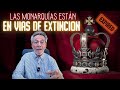 Las monarquías están en vías de extinción.