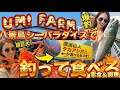 女船長 夫婦で、ここでも激アツ!!八景島は、おまかせ!!タカアシガニの丸焼き