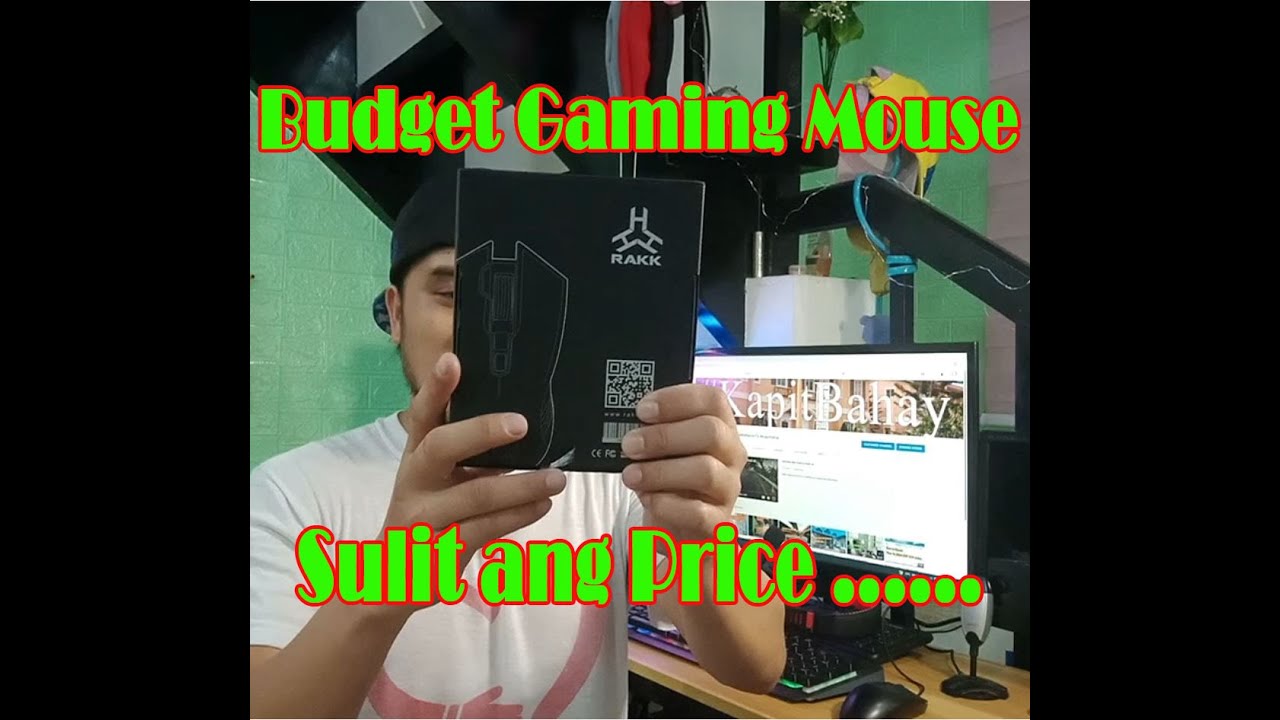 Best Budget Gaming Mouse / RAKK DASIG Mouse Review / 2021
