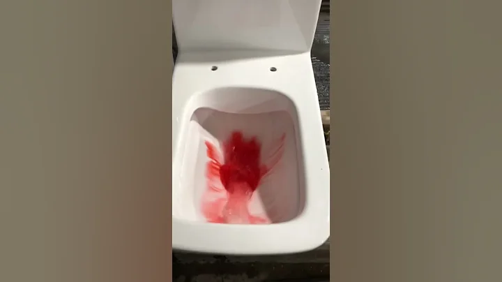 RIMLESS FLUSH TOILET Water test #geberit #rimlesstoilet #wc #interiordesign #bathroomdesign #toilets