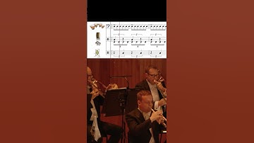 Stravinsky: Rite of Spring 🔥