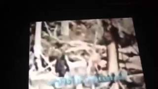 Bigfoot movie trailer