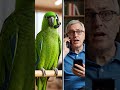 parrot tech support