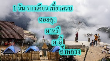 ดอยตุง ผาหมี ผาฮี้ ถ้ำหลวง เส้นทางเดียวเที่ยวครบใน 1 วัน โดย o go play